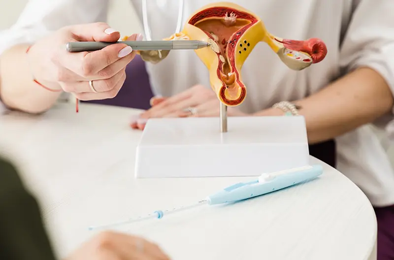 Estude sobre Ginecologia e Obstetrícia com a GTMED